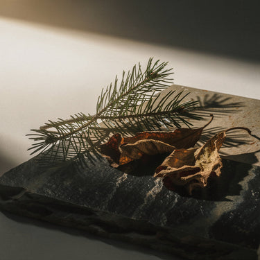 Tobacco & Pine